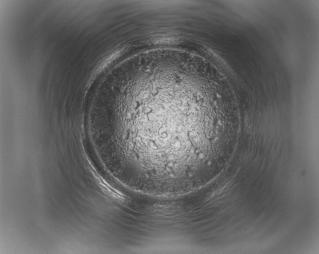 X0000057100725200509091203