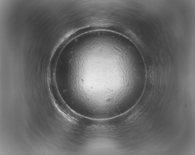 X0000057100726200509091203