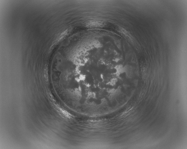 X0000057100729200509091203