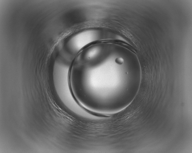 X0000057100731200509091203