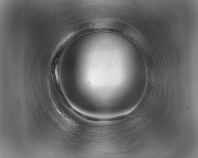 X0000057100732200509091203