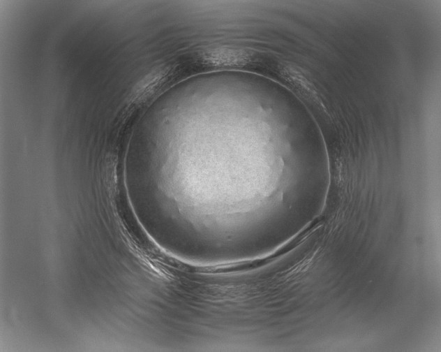 X0000057100733200509091203