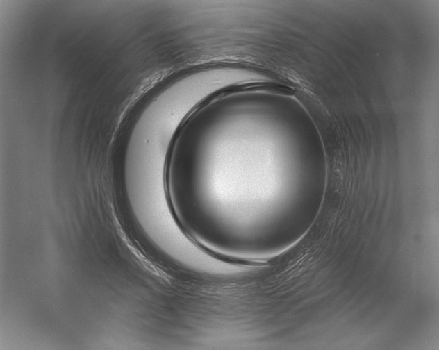 X0000057100734200509091203