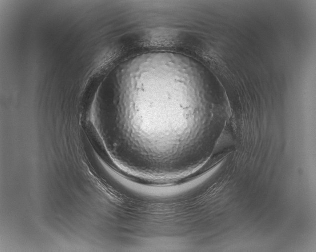 X0000057100735200509091203