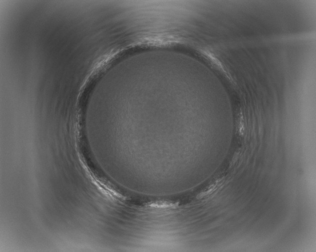 X0000057100736200509091203