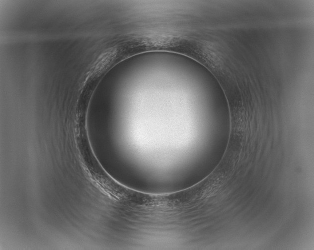 X0000057100738200509091203