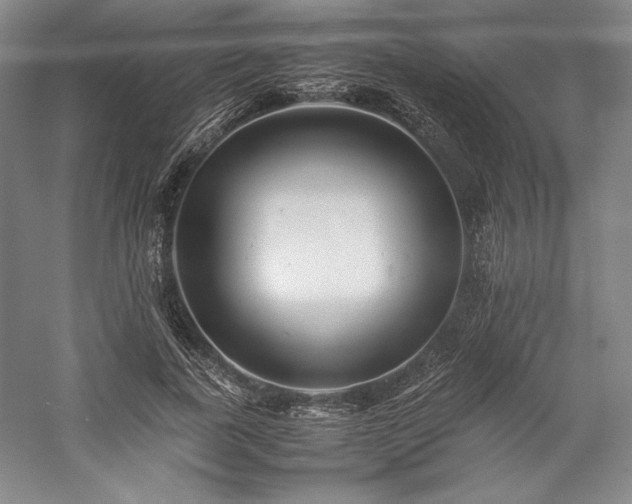 X0000057100739200509091203