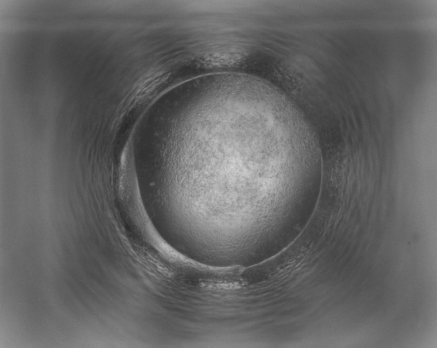 X0000057100743200509091203