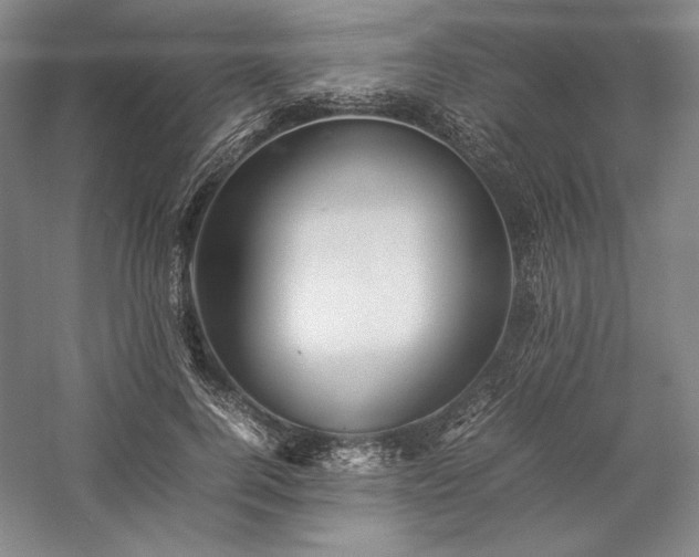 X0000057100744200509091203