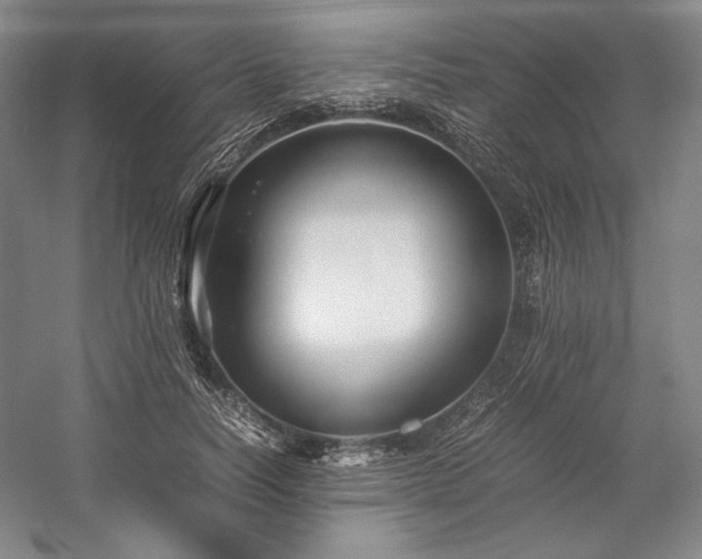 X0000057100746200509091203