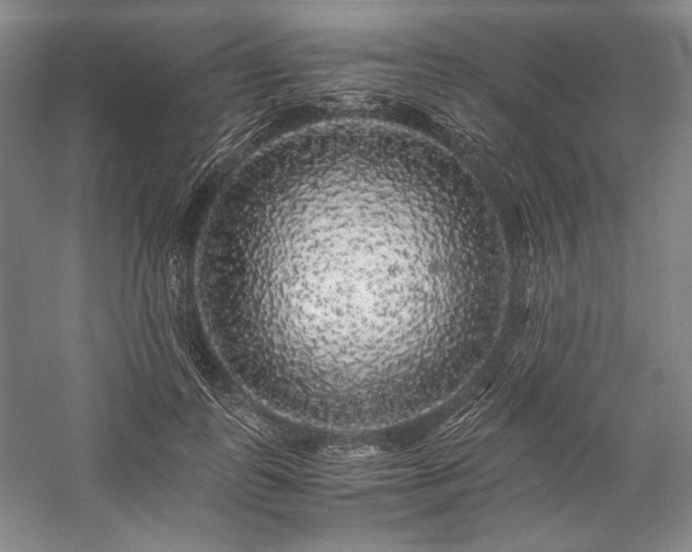 X0000057100747200509091203