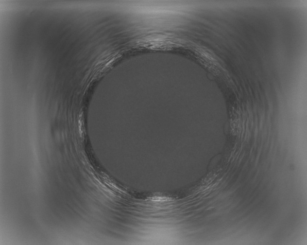 X0000057100748200509091203