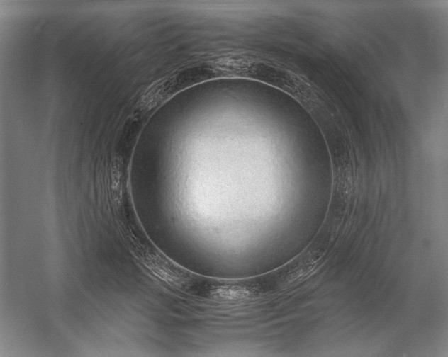 X0000057100749200509091203