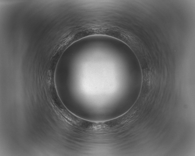 X0000057100752200509091203