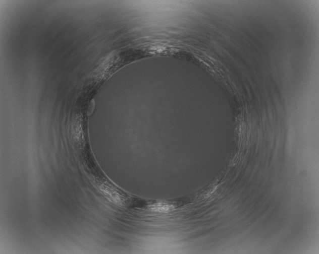 X0000057100754200509091203