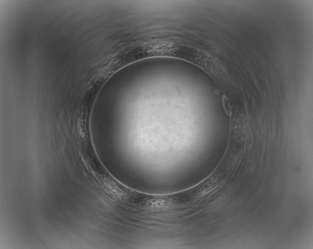 X0000057100755200509091203