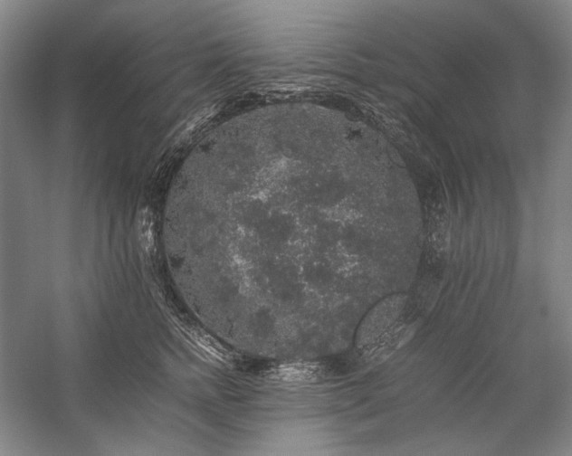 X0000057100758200509091203