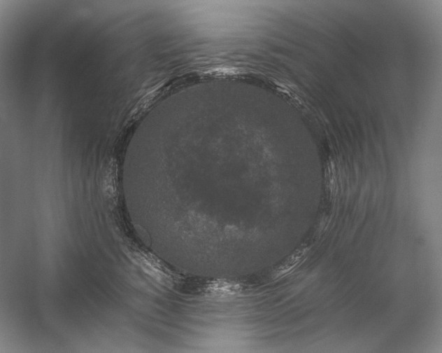 X0000057100760200509091203