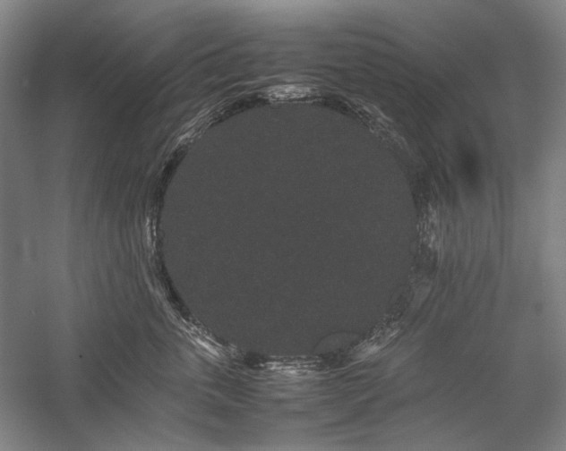 X0000057100763200509091203