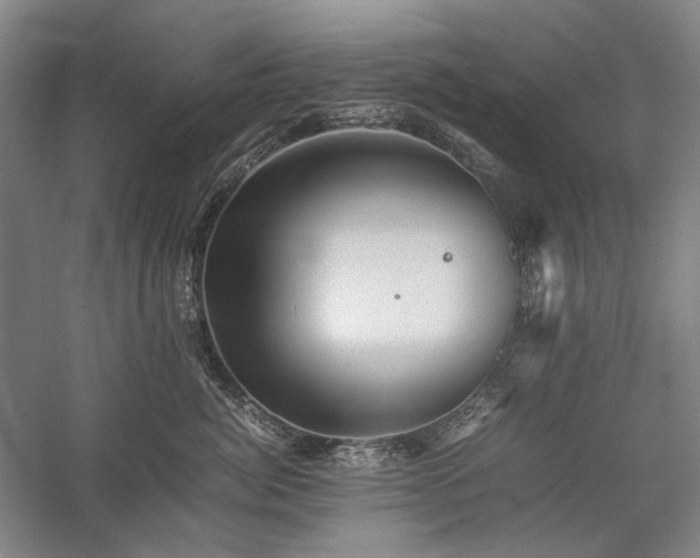 X0000057100764200509091203