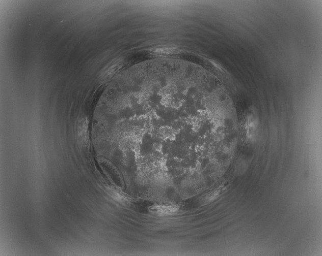 X0000057100765200509091203