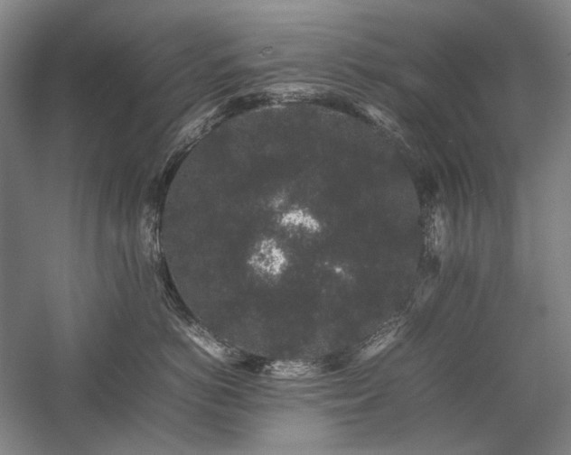 X0000057100766200509091203