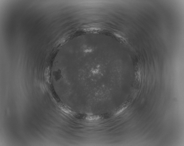 X0000057100767200509091203