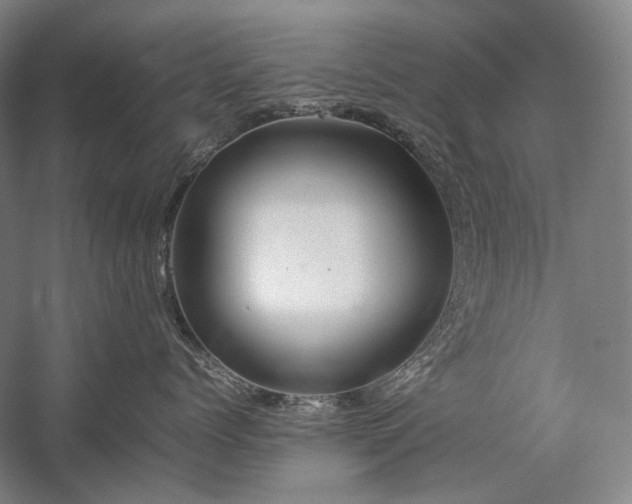 X0000057100768200509091203