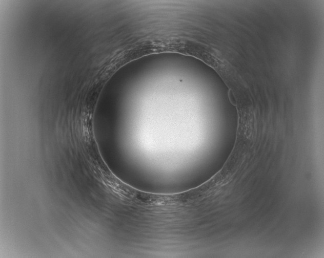 X0000057100770200509091203