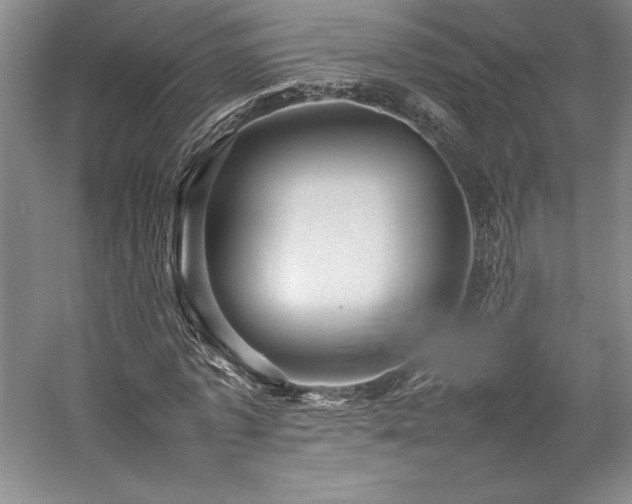 X0000057100773200509091202