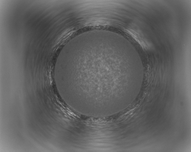 X0000057100774200509091202