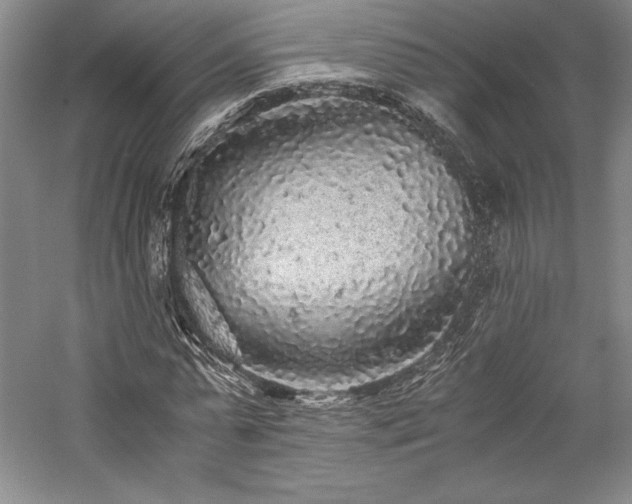 X0000057100775200509091202