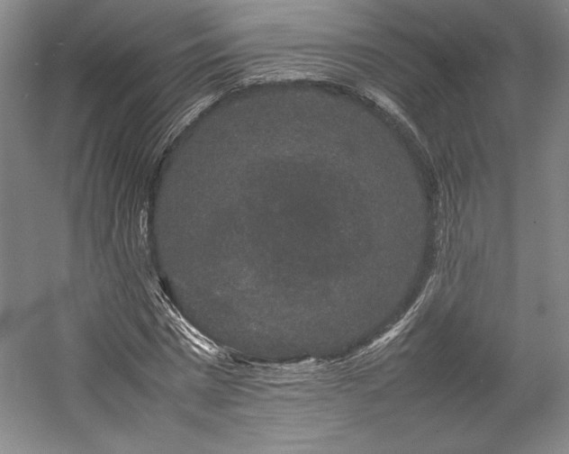 X0000057100777200509091202