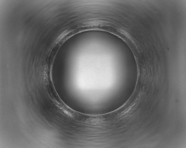 X0000057100778200509091202