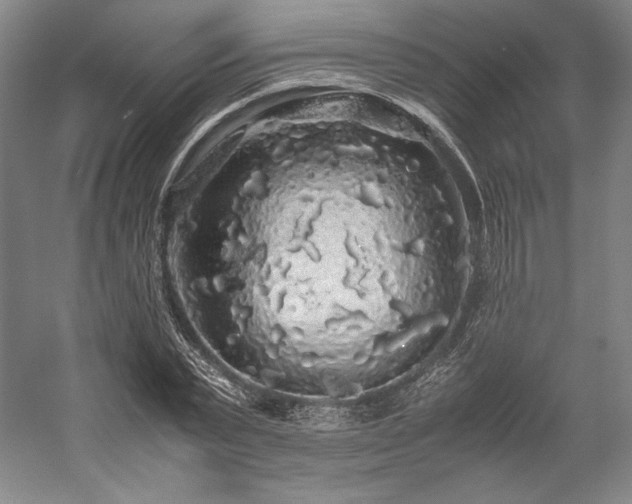 X0000057100783200509091202