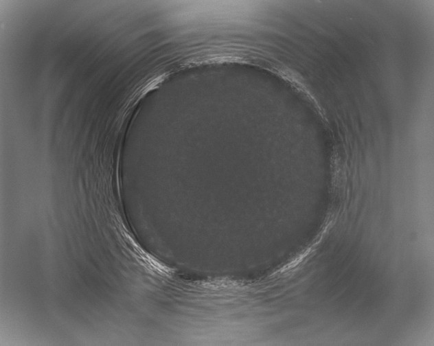 X0000057100785200509091202