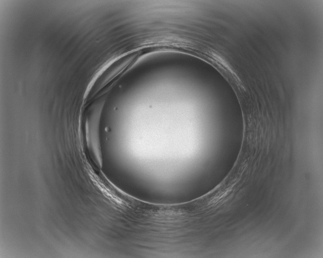 X0000057100788200509091202