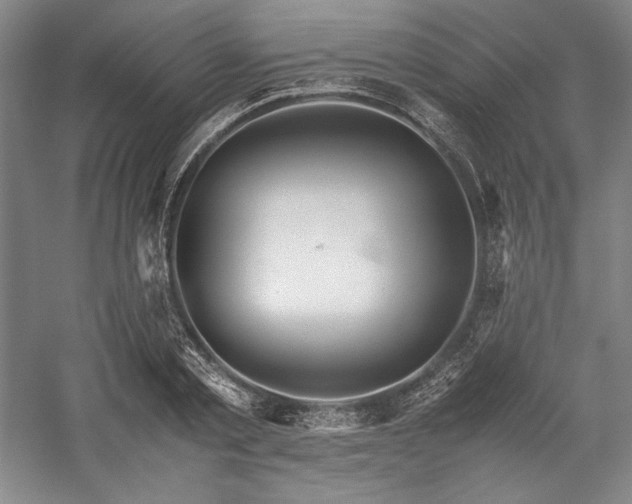 X0000057100789200509091202