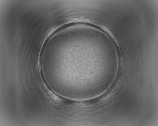 X0000057100791200509091202