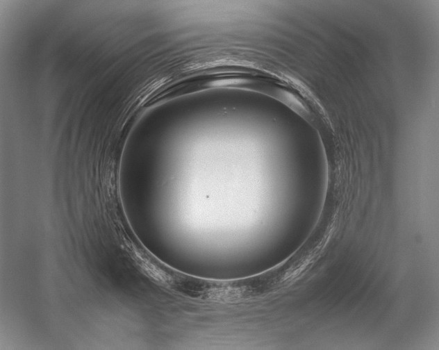 X0000057100793200509091202