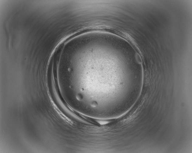 X0000057100795200509091202