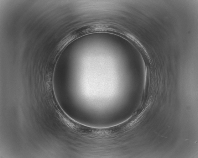 X0000057100801200509091202