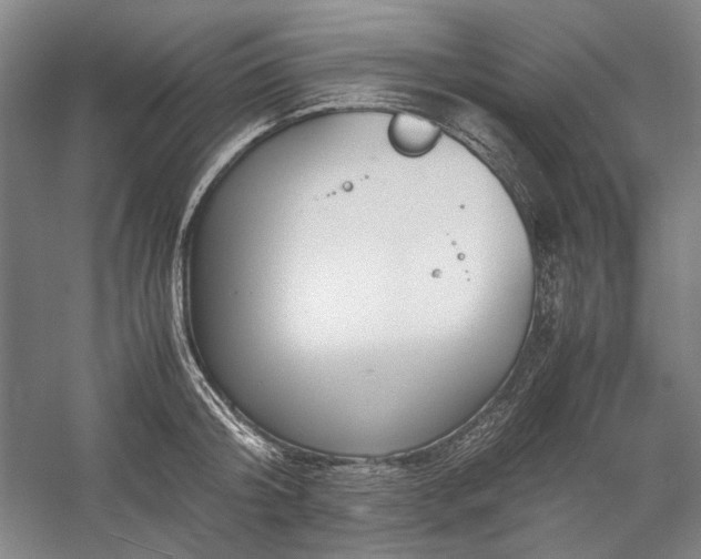 X0000057100804200509091202