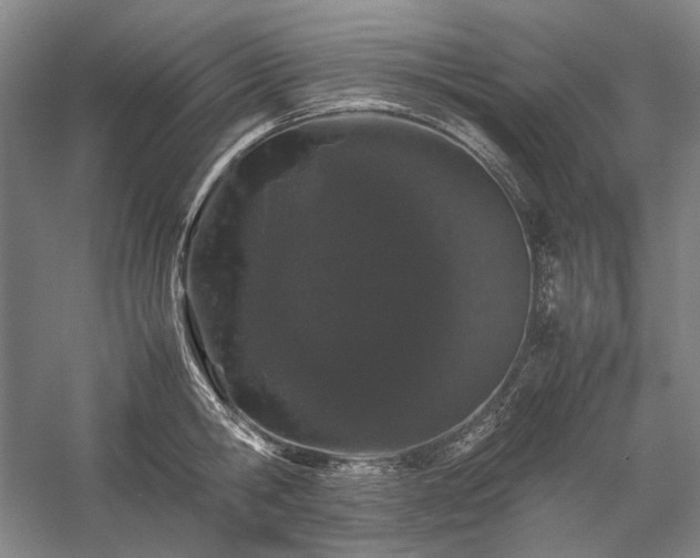 X0000057100806200509091202