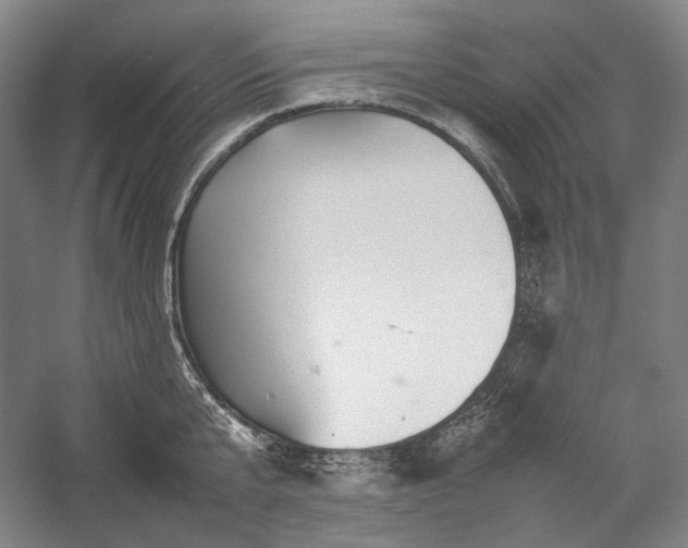 X0000057100807200509091202