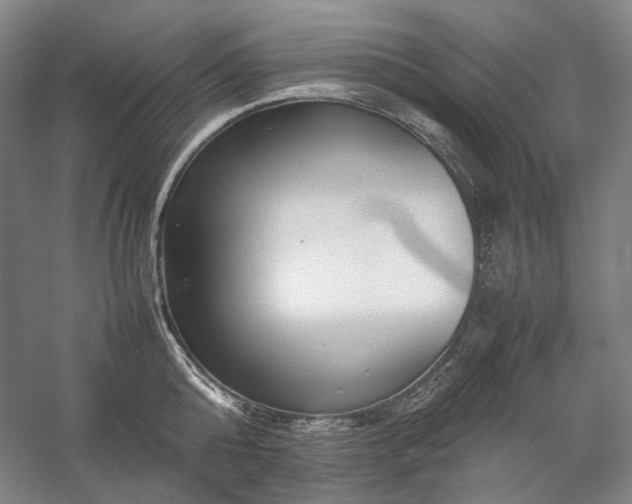 X0000057100808200509091202