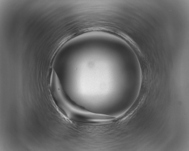 X0000057100809200509091202