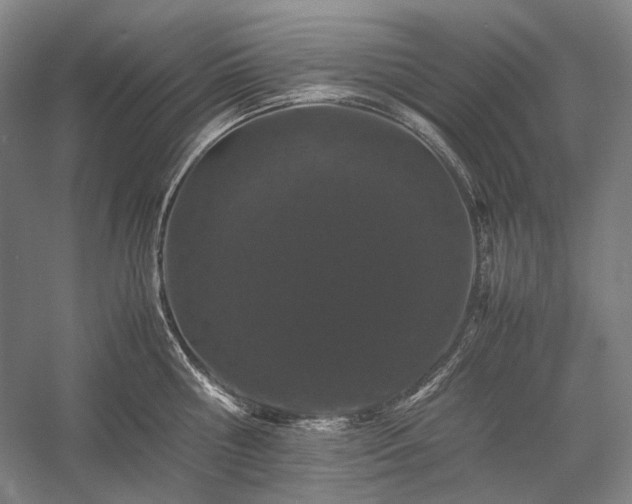 X0000057100810200509091202