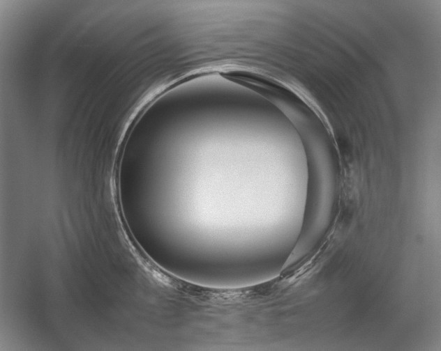 X0000057100813200509091202