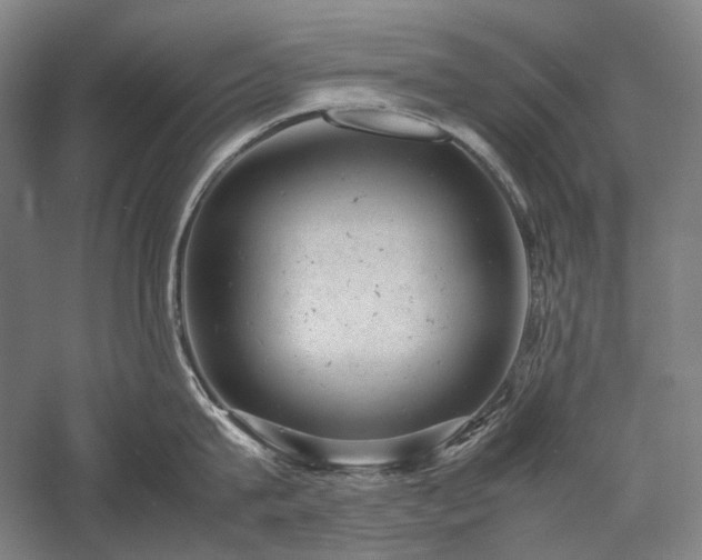 X0000057100815200509091202